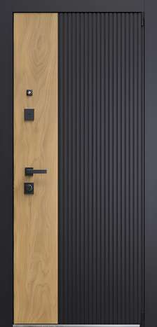Входная дверь Duo 2 из коллекции DUO