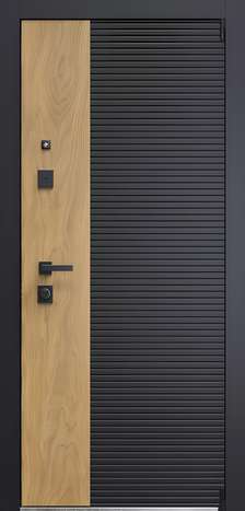 Входная дверь Duo 1 из коллекции DUO