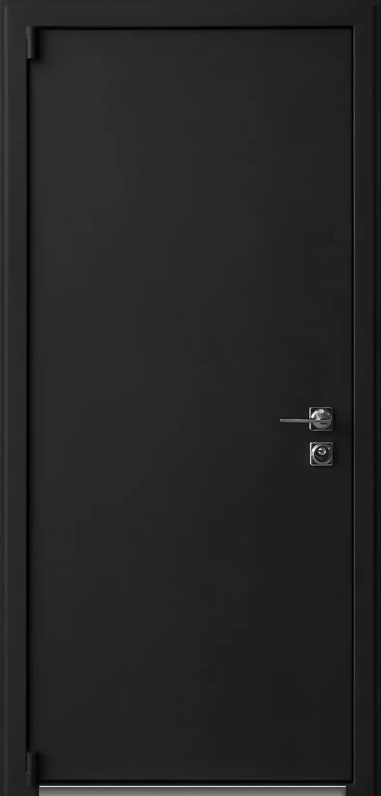 Входная дверь Термо Basic Black из коллекции Термо Basic