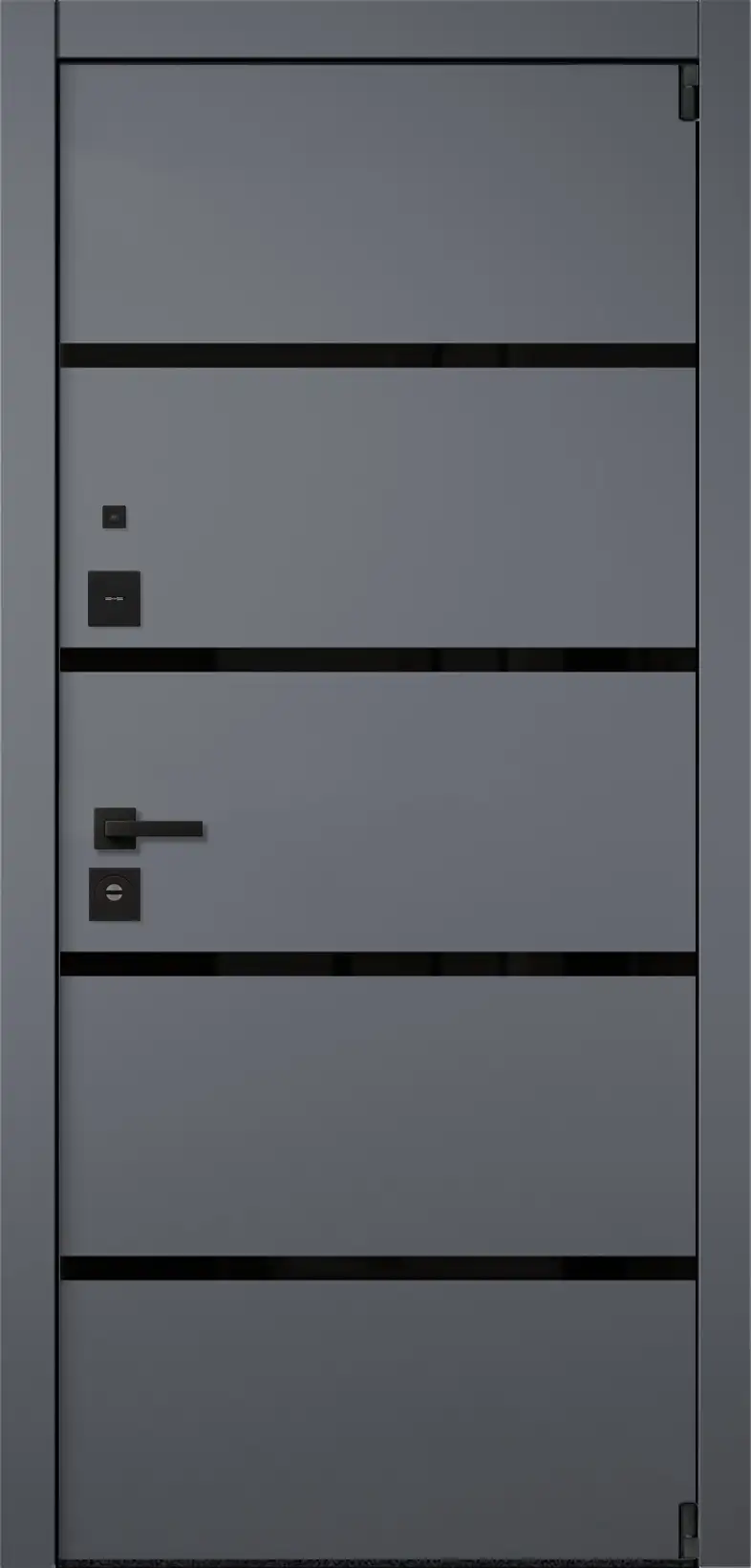 Входная дверь Titanium 10 из коллекции Titanium