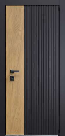 Входная дверь Термо Duo 2 из коллекции Термо DUO