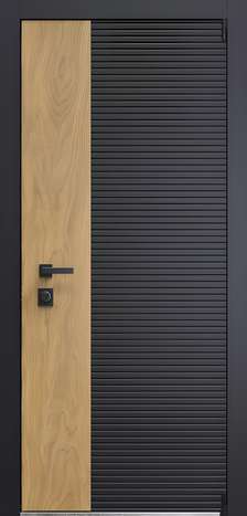 Входная дверь Термо Duo 1 из коллекции Термо DUO