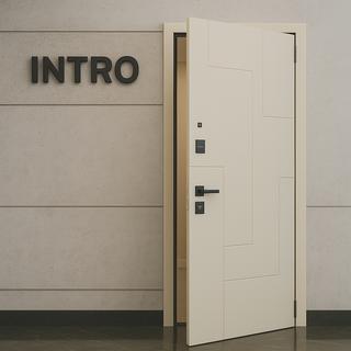 Коллекция входных дверей Intro