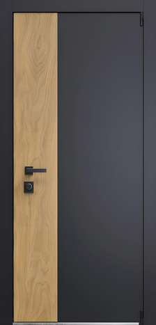 Входная дверь Термо Duo 5 из коллекции Термо DUO
